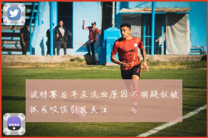 波特赛后耳朵流血原因不明疑似被抓或咬伤引发关注