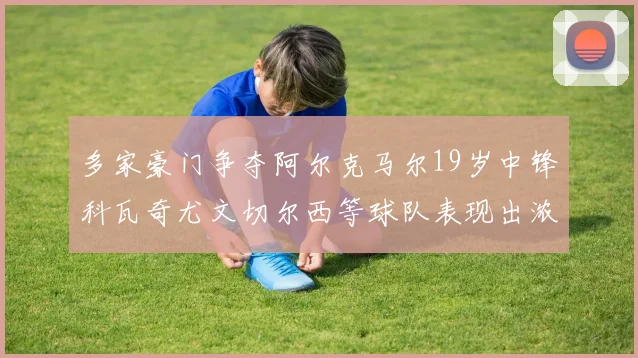 多家豪门争夺阿尔克马尔19岁中锋科瓦奇尤文切尔西等球队表现出浓厚兴趣